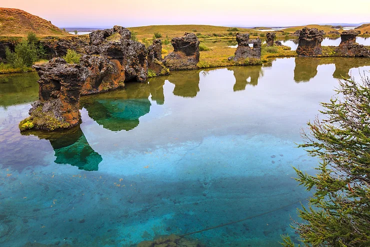 Mosquitoes and flies in Lake Myvatn