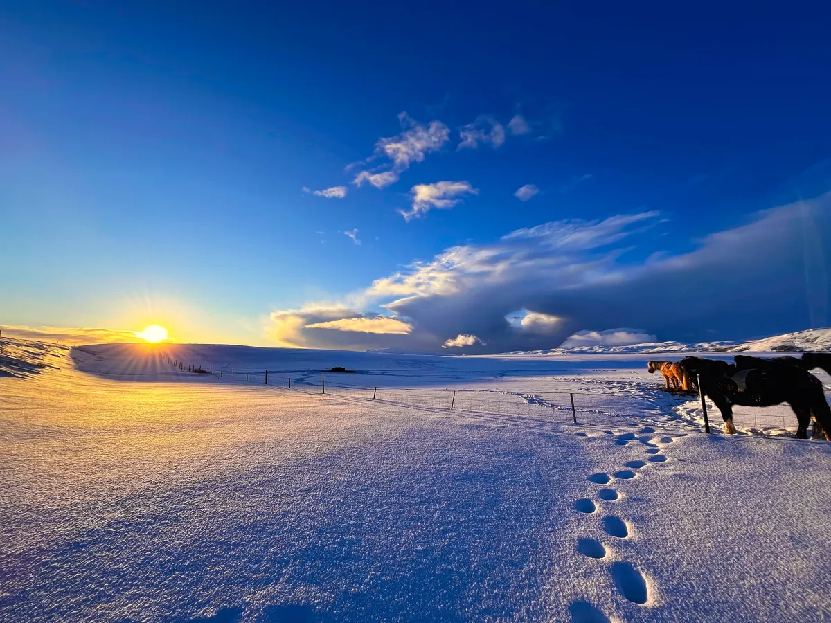 Daylight Hours in Iceland in January
