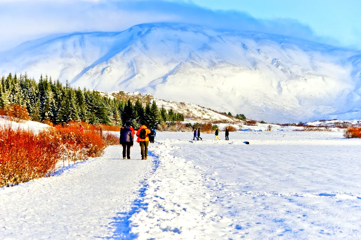 Where is Thingvellir National Park