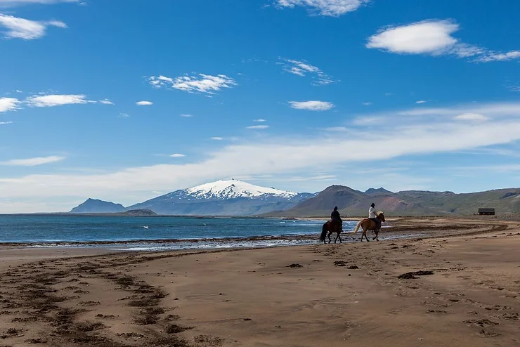 Experience Horseback Riding 