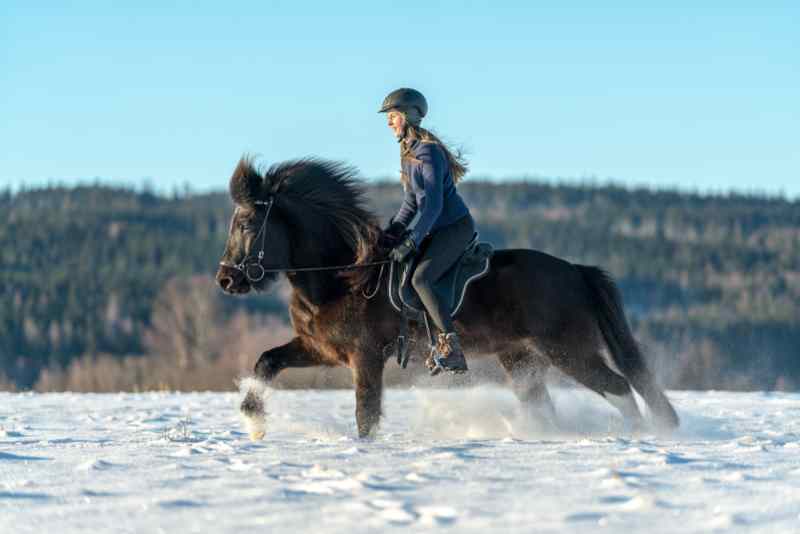 Islande équitation hiver
