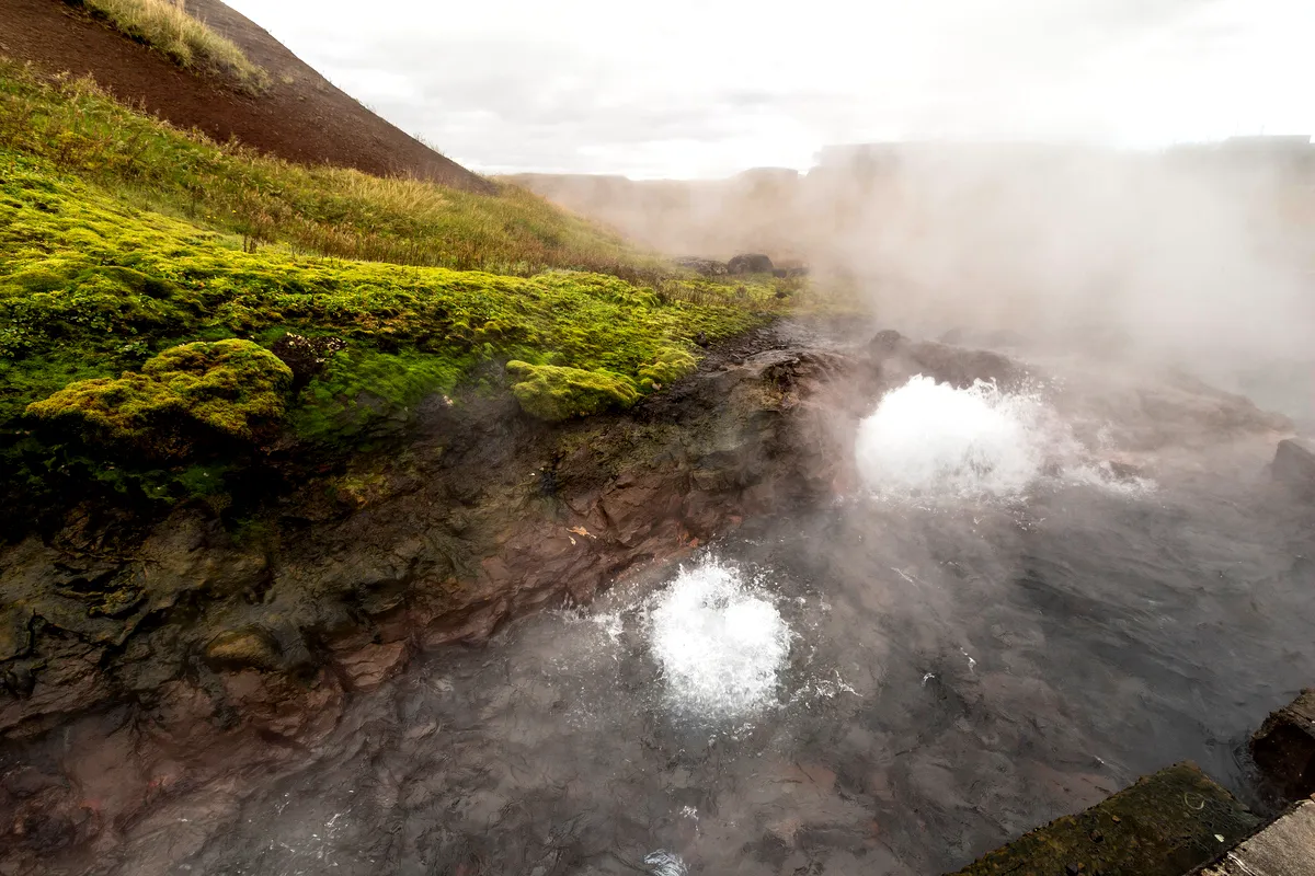 Steaming geothermal waters and vibrant moss at Deildartunguhver hot spring.