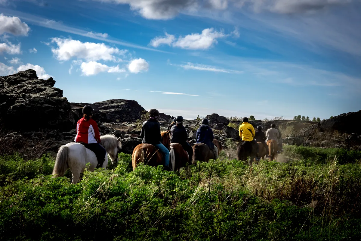 Explora la isla a caballo