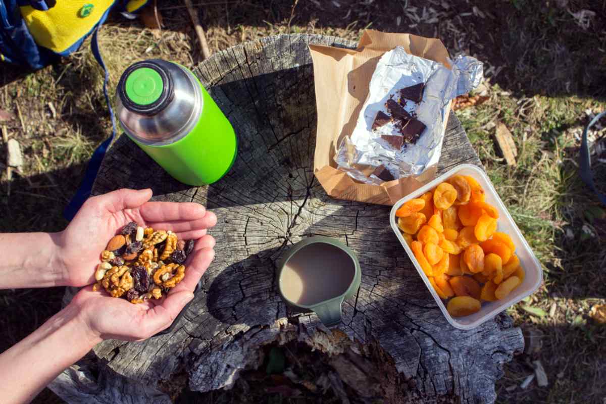 Nuts, dried fruit, chocolate, and a thermos arranged on a tree stump for a road trip snack.