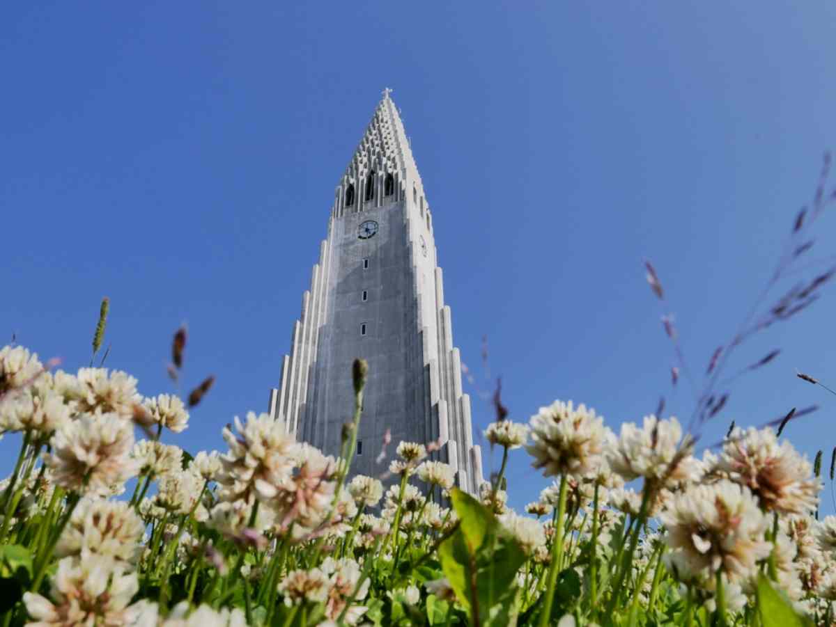 Image from below of Iceland's Hallgrímskirkja church at almost 75 meters high under a completely clear sky with beautiful flowers surrounding it.