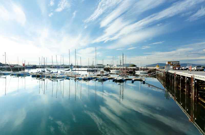 Reykjavik Harbor Cruise Options