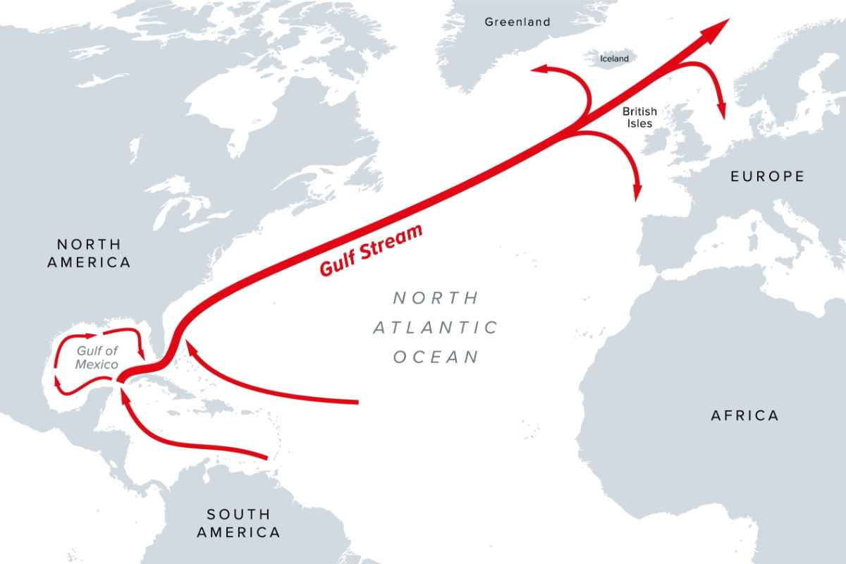 Gulf stream infographic