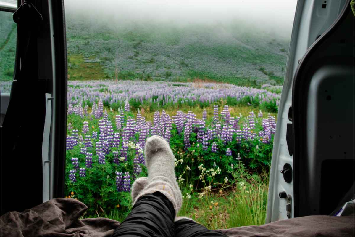 Camper watching the spring landscape of Iceland from the rear bed with the camper door wide open