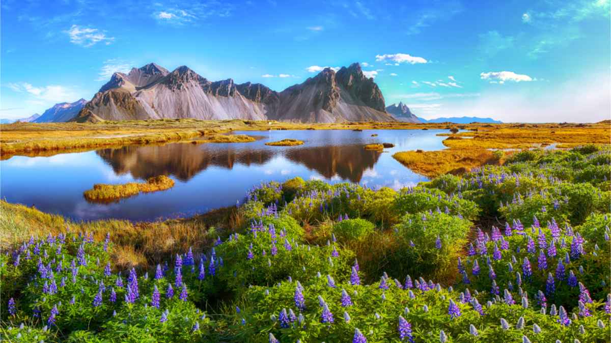 Vestrahorn during the summer time