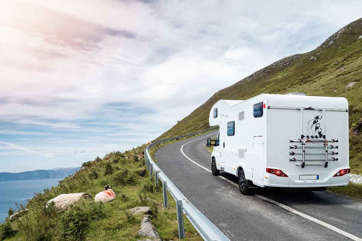 Motorhome on a road in Iceland with sheep on the curb
