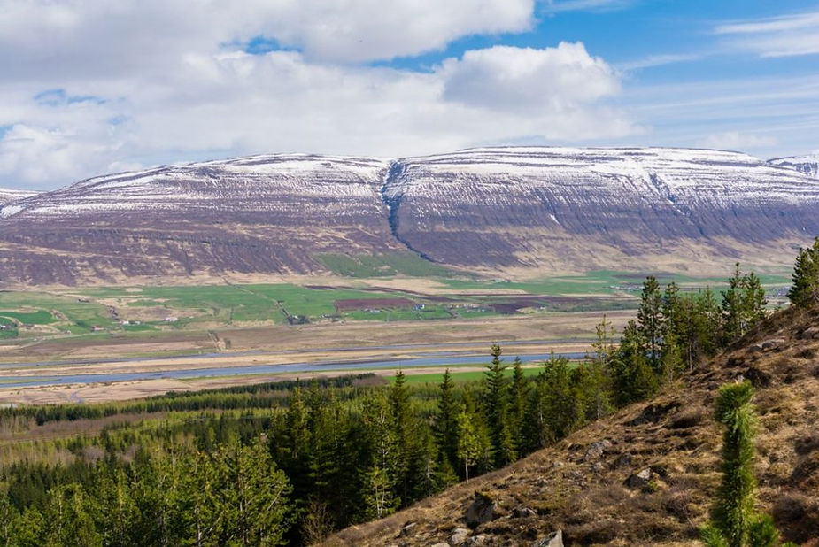 Veduta di colline e vallate verdi con chiazze di neve vicino ad Akureyri, boschi di Hamrar in primo piano.