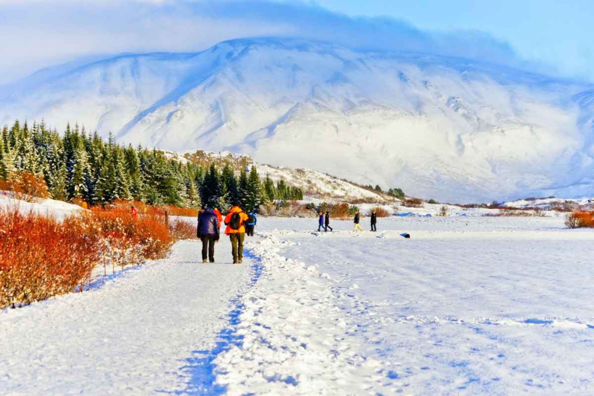 Gente e neve Escursionisti su un sentiero innevato tra arbusti rossi e abeti, ai piedi di montagne bianche; classica giornata d’inverno nel Golden Circle.