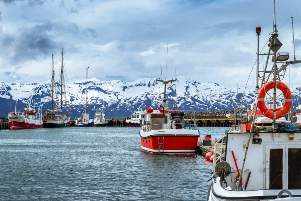 Port of Husavik, Iceland