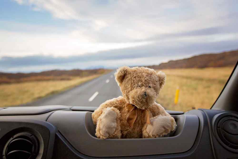 Teddy bear on a car dashboard during a road trip through Iceland.