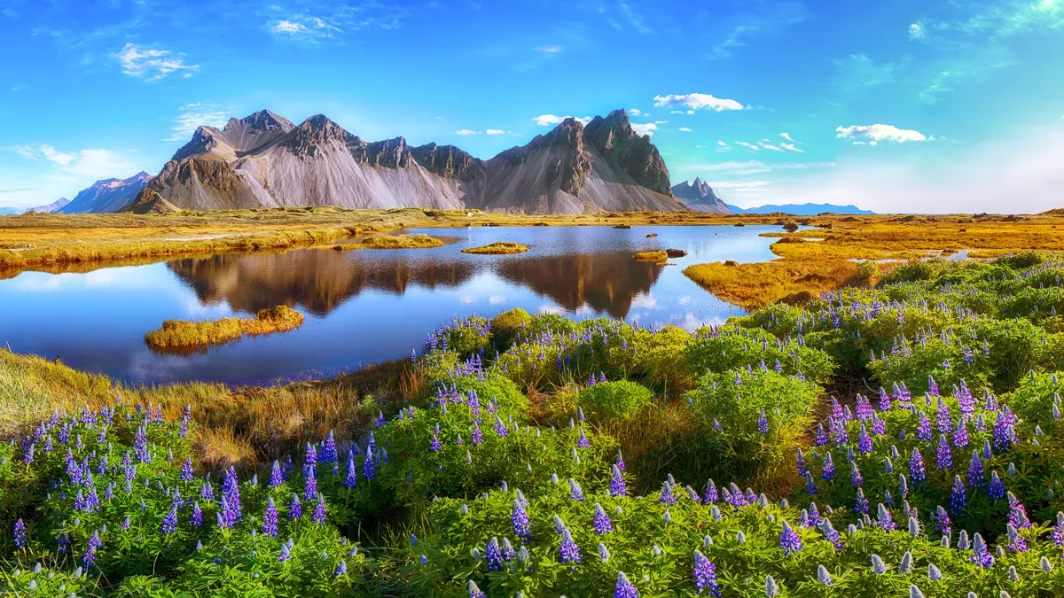 Iceland in July