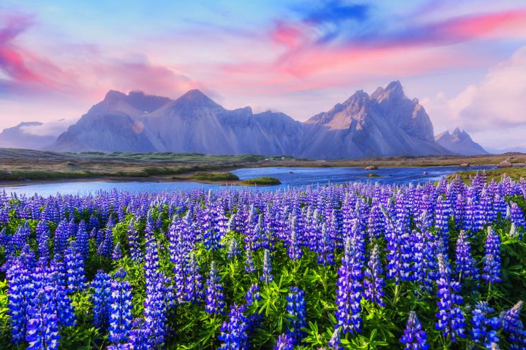 Iceland in June