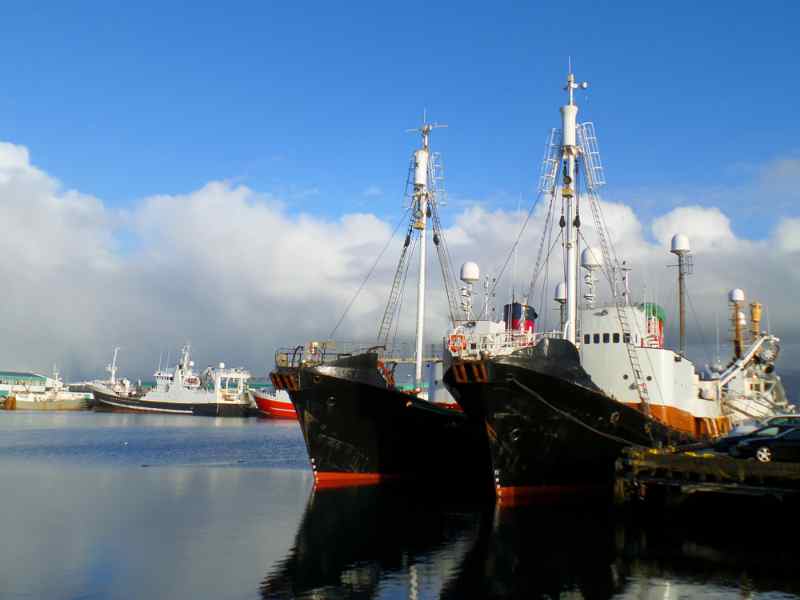 Reykjavik's Old Harbor